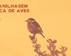 Curso de Anilhagem Científica de Aves