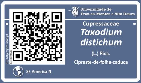 Placas QR Code no JBUTAD