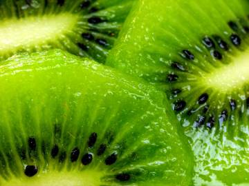 Fotografia da espécie Actinidia deliciosa