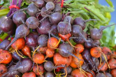 Fotografia da espécie Beta vulgaris