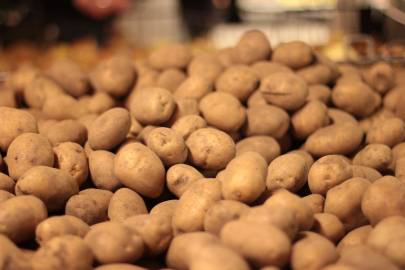 Fotografia da espécie Solanum tuberosum