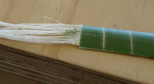 Fotografia da espécie Phormium colensoi