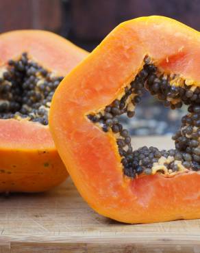 Fotografia 9 da espécie Carica papaya no Jardim Botânico UTAD