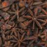 Fotografia 1 da espécie Illicium verum do Jardim Botânico UTAD