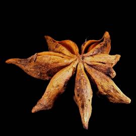 Fotografia da espécie Illicium verum