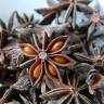Fotografia 4 da espécie Illicium verum do Jardim Botânico UTAD