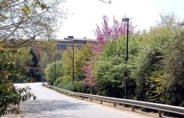 Campus