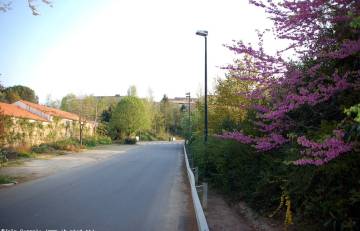 Campus