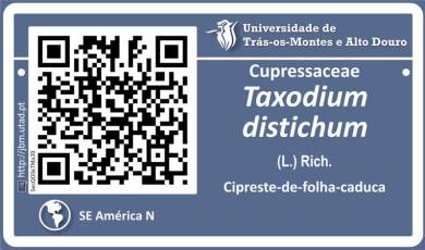 Placa exemplo de identificação por QRCode de espécies no Jardim