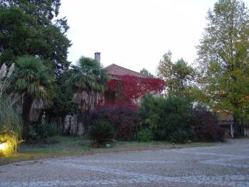 Herbário de Vila Real